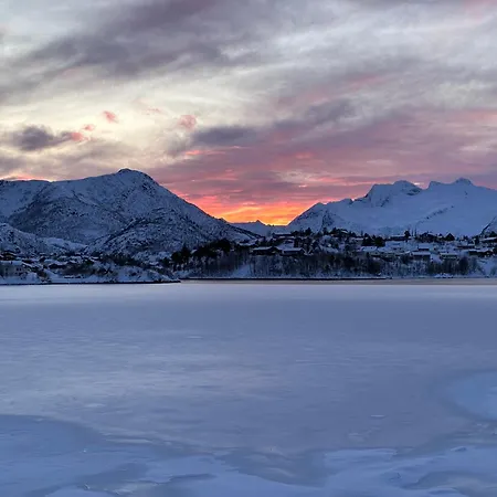 Between Fjord And Mountain